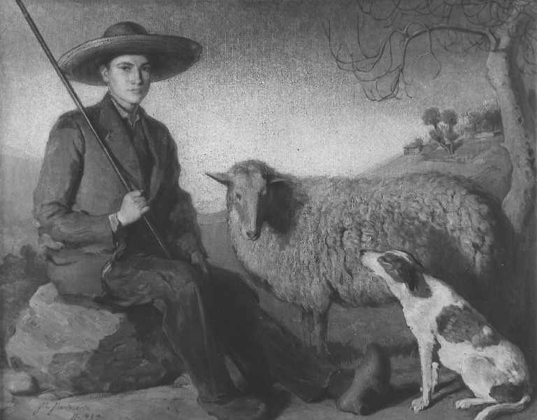                    POR FAVOR, ESPERE

               FOTOGRAFIA CARGANDO